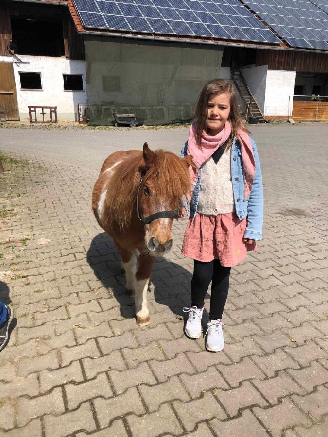 Bauernhof Nissl Villa Neunburg vorm Wald Bagian luar foto