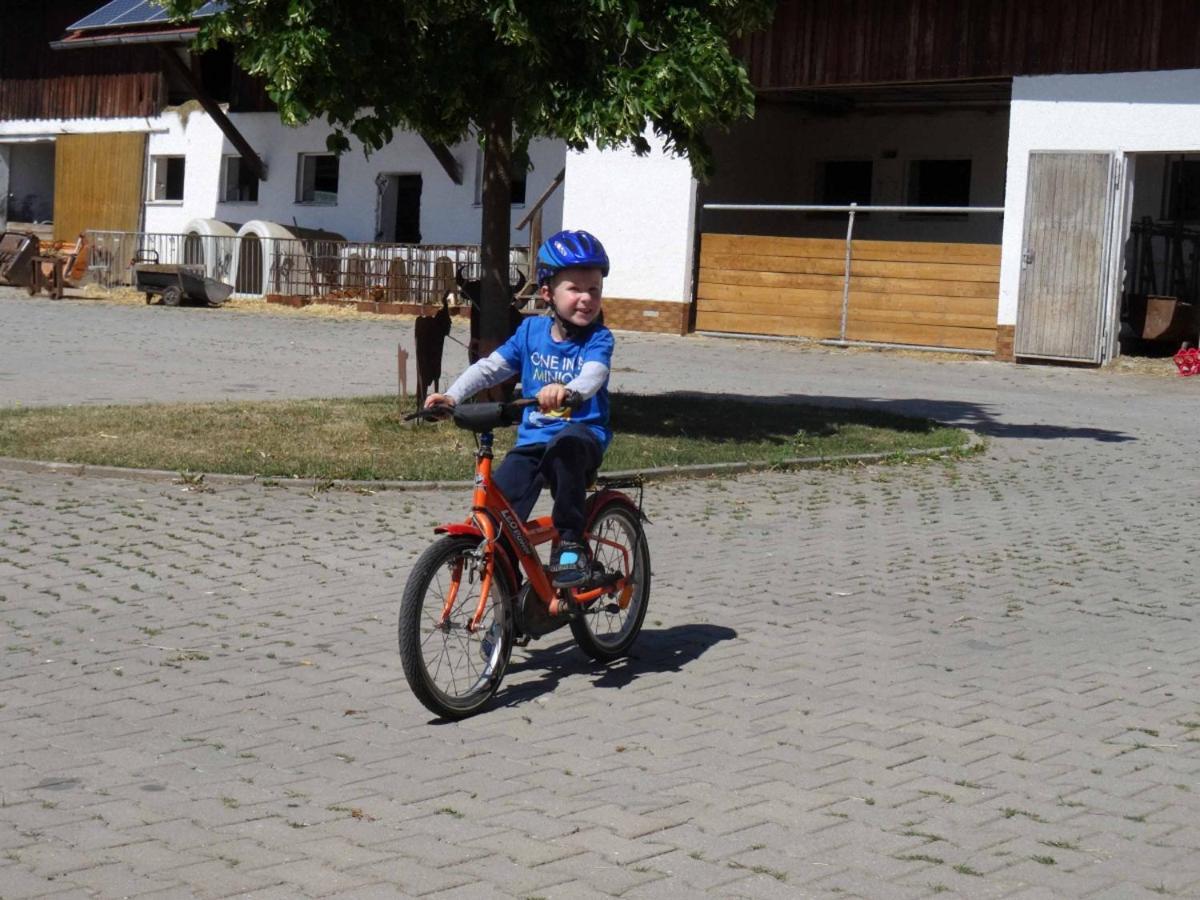 Bauernhof Nissl Villa Neunburg vorm Wald Bagian luar foto